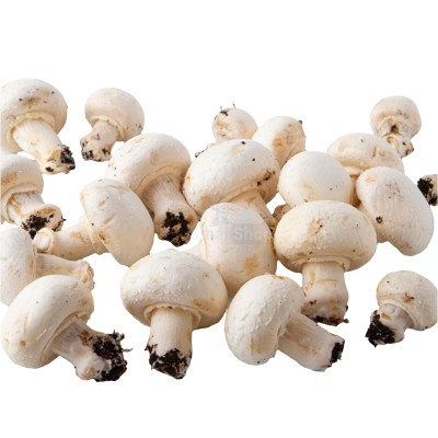 Шампиньоны свежие 500 г - купить в Локотской